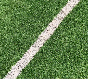 школ с собственными стадионами