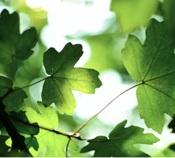 парковых&nbsp;пространств к моменту окончания строительства